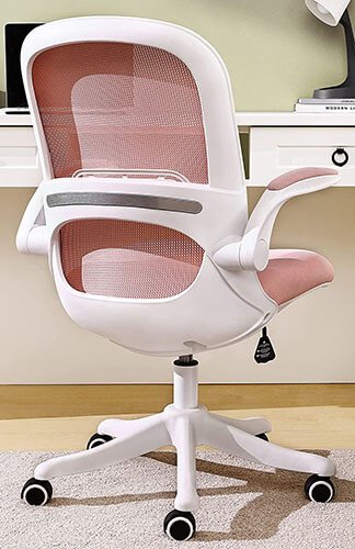 Ergonomic Office Chair with Flip-Up Armrests
